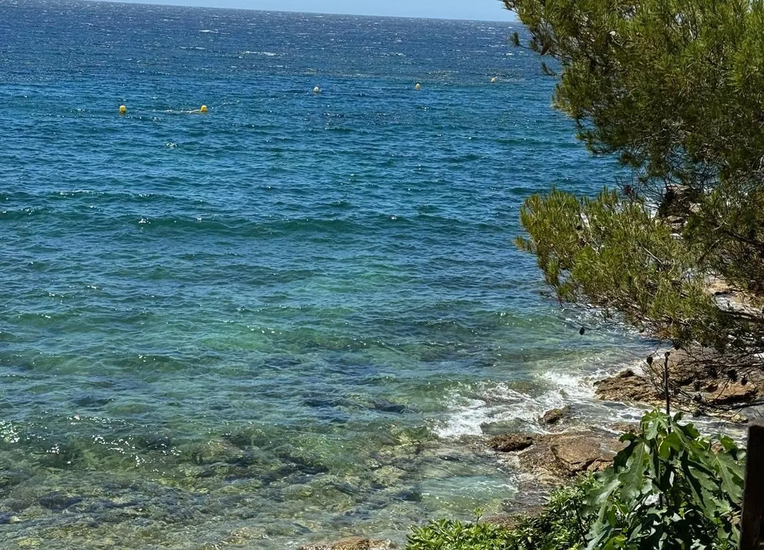 Bandol A Bandol Cha Cha Cha - Appartement Hébergement de vacances